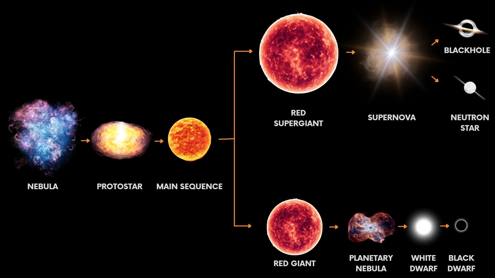 From Birth to Death The Life Stages of Stars Explained